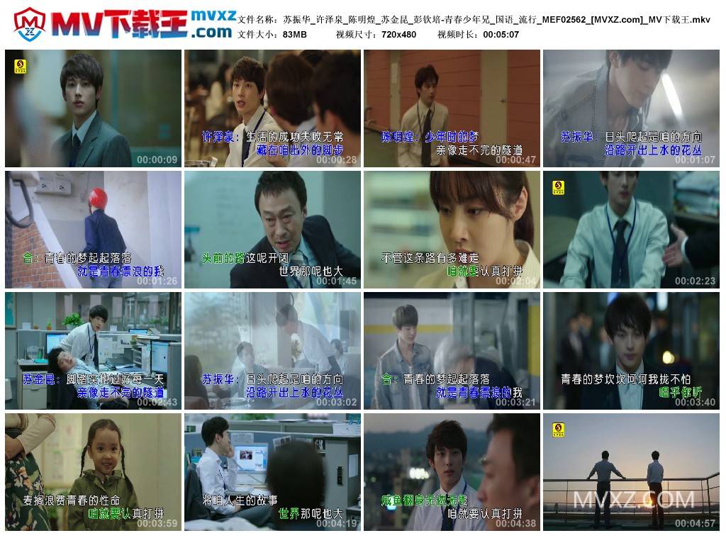 苏振华_许泽泉_陈明煌_苏金昆_彭钦培-青春少年兄_国语_流行_MEF02562